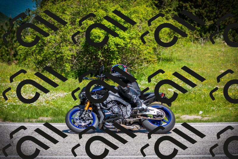 202505251118-DSC08006_c1_