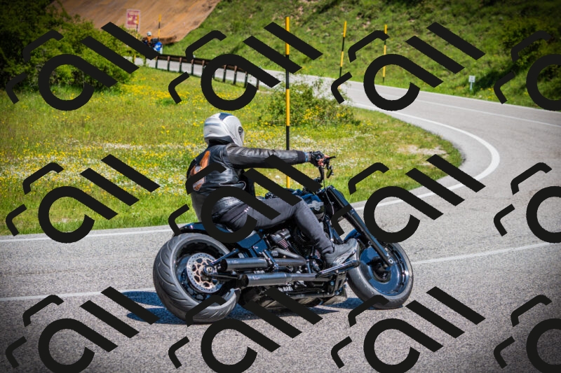 202505251119-DSC08037_c1_