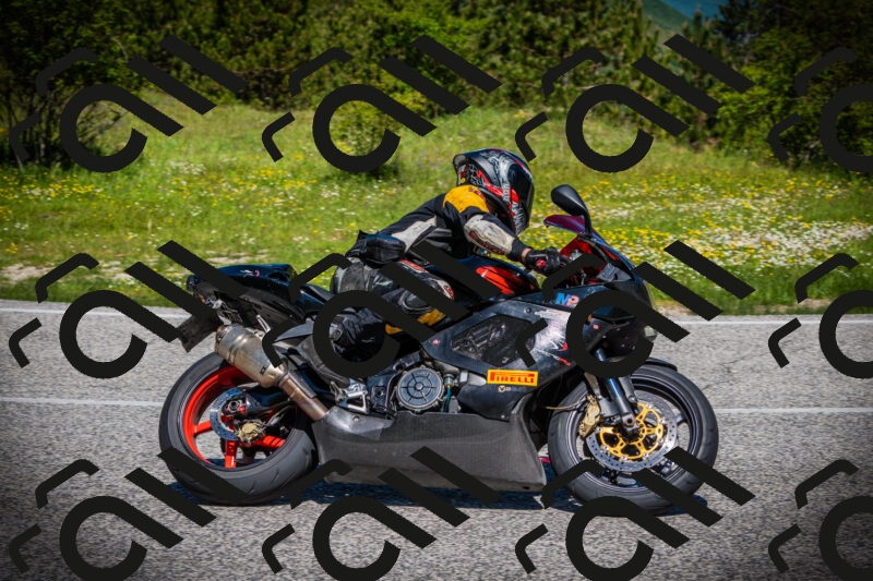 202505251119-DSC08038_c1_