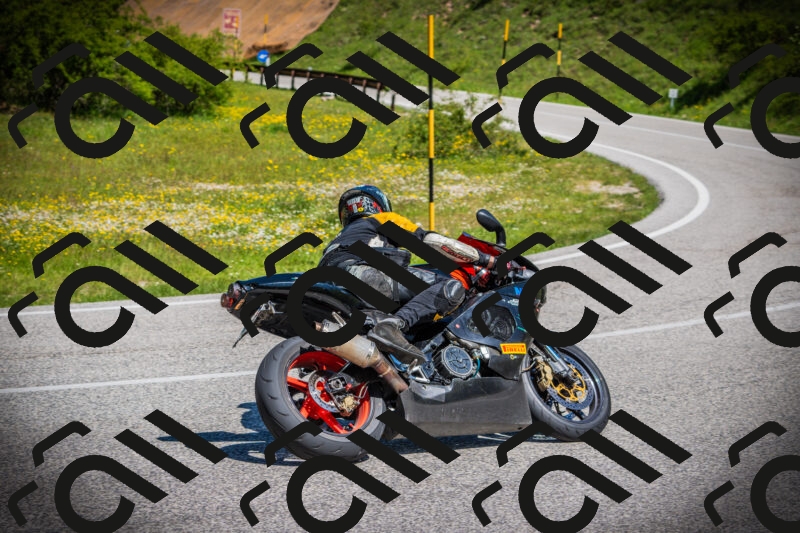 202505251119-DSC08039_c1_