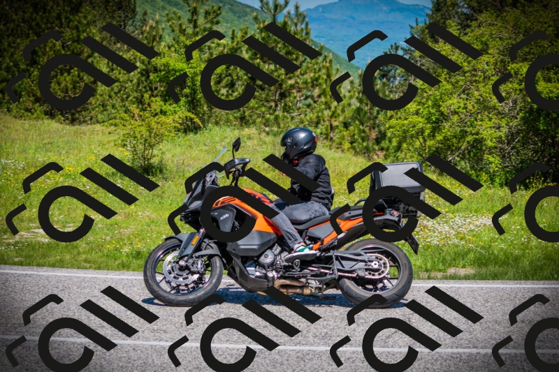 202505251121-DSC08065_c1_