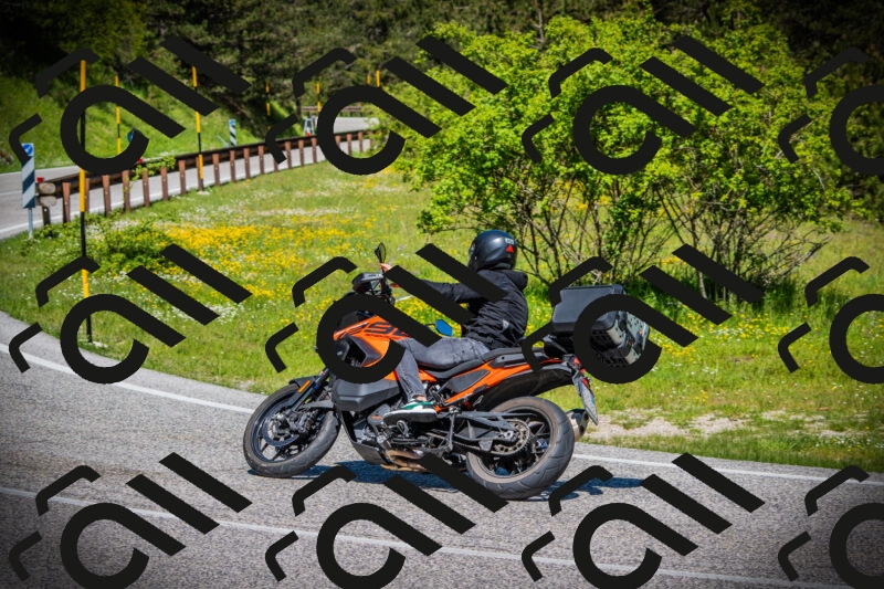 202505251121-DSC08066_c1_