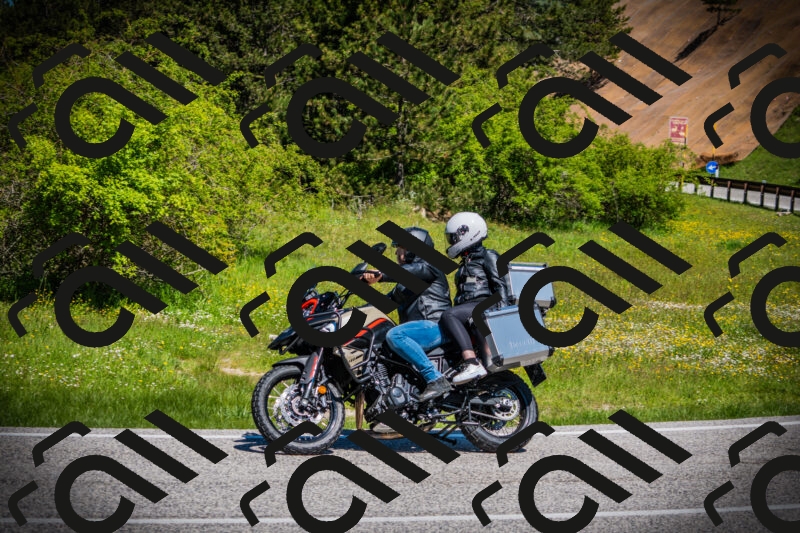 202505251121-DSC08072_c1_