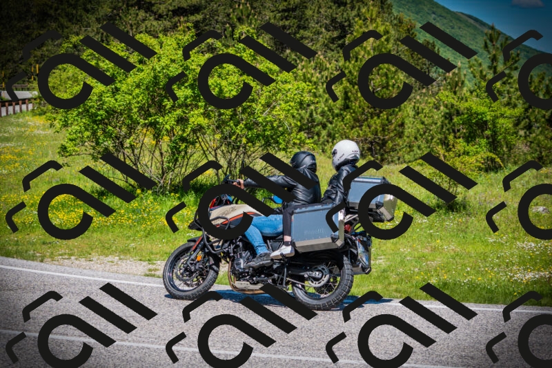 202505251121-DSC08074_c1_