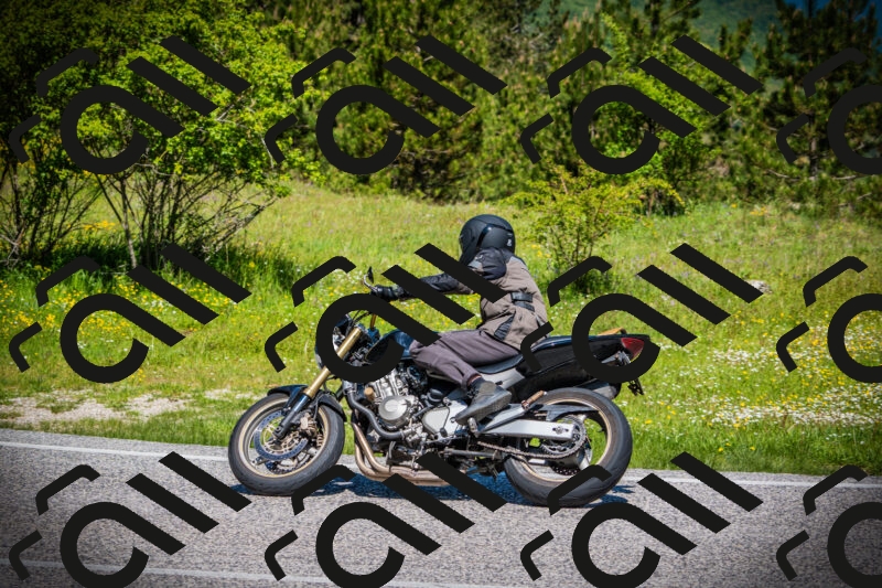 202505251122-DSC08091_c1_