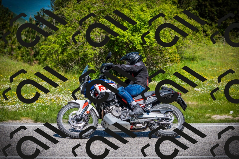 202505251123-DSC08106_c1_