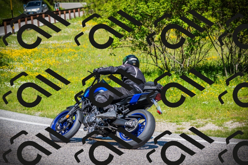 202505251123-DSC08112_c1_