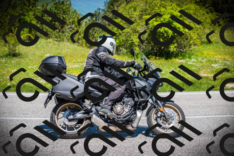 202505251132-DSC08277_c1_