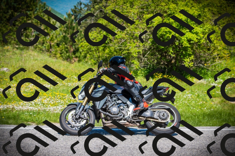 202505251132-DSC08280_c1_