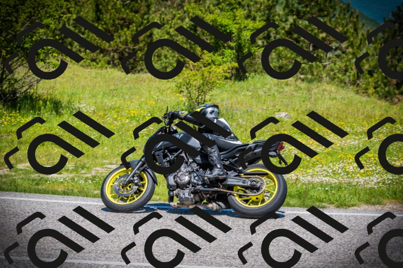 202505251132-DSC08283_c1_