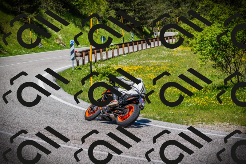 202505251132-DSC08306_c1_