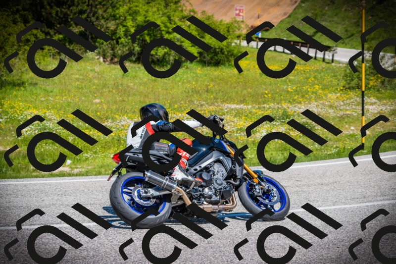 202505251133-DSC08311_c1_