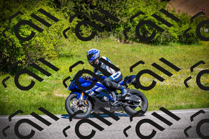 202505251134-DSC08317_c1_