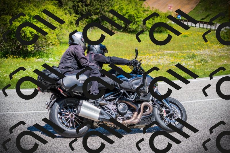 202505251134-DSC08321_c1_