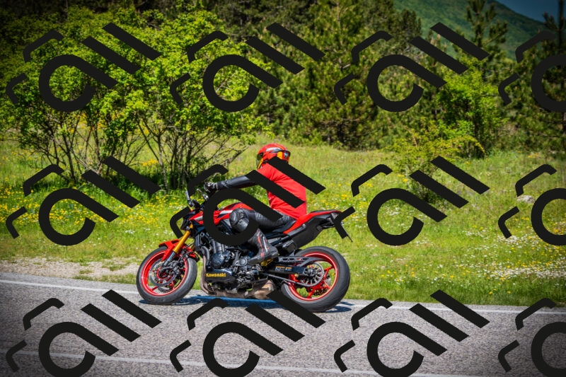 202505251136-DSC08363_c1_