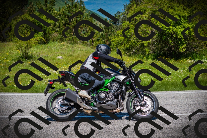 202505251136-DSC08367_c1_