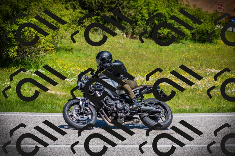 202505251137-DSC08397_c1_