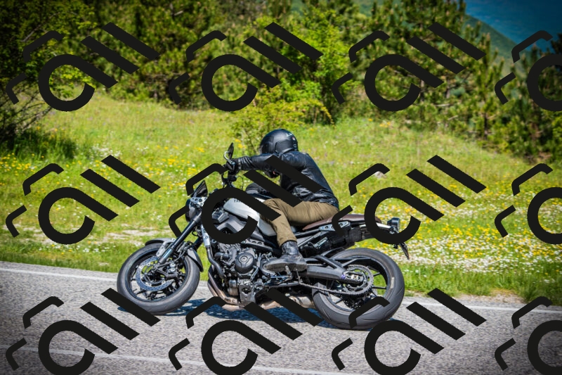 202505251137-DSC08398_c1_