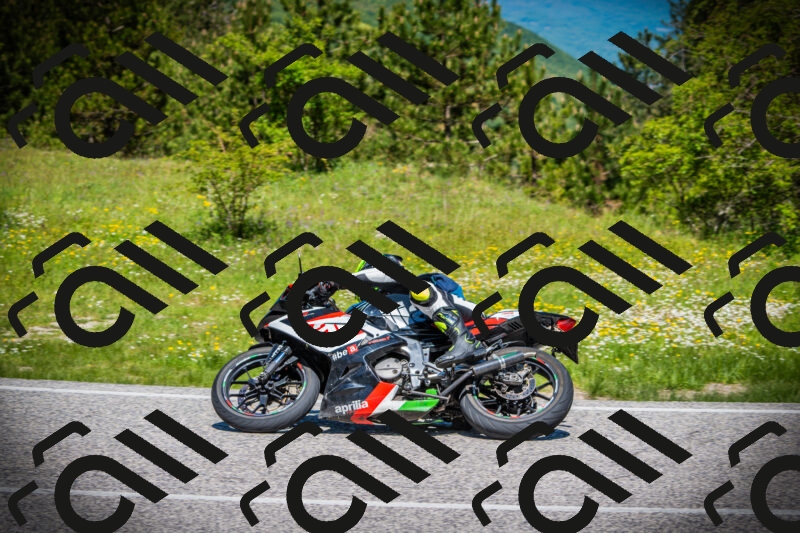 202505251137-DSC08426_c1_