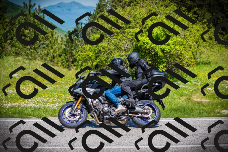 202505251140-DSC08477_c1_