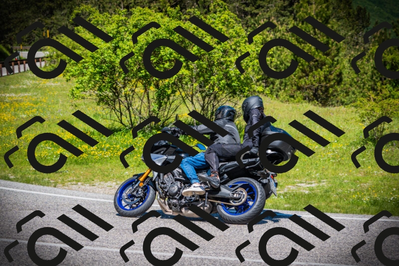 202505251140-DSC08478_c1_