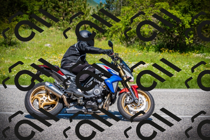 202505251140-DSC08489_c1_