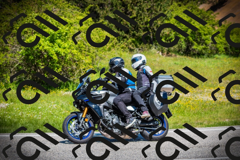 202505251141-DSC08503_c1_