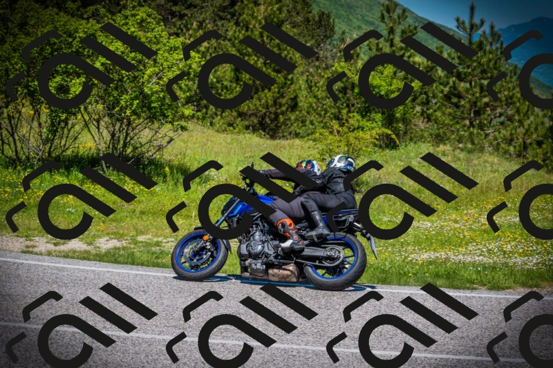 202505251142-DSC08533_c1_