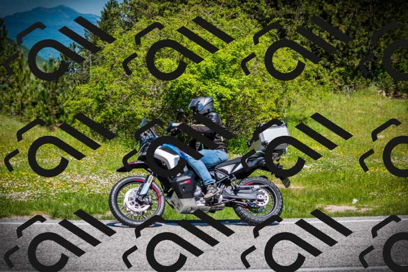 202505251142-DSC08537_c1_