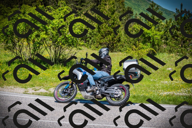 202505251142-DSC08538_c1_