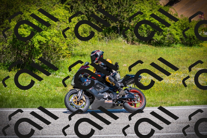 202505251158-DSC08917_c1_