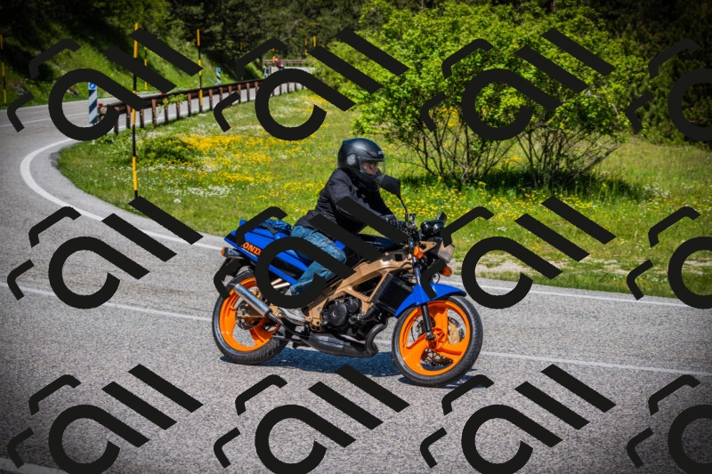 202505251159-DSC08936_c1_