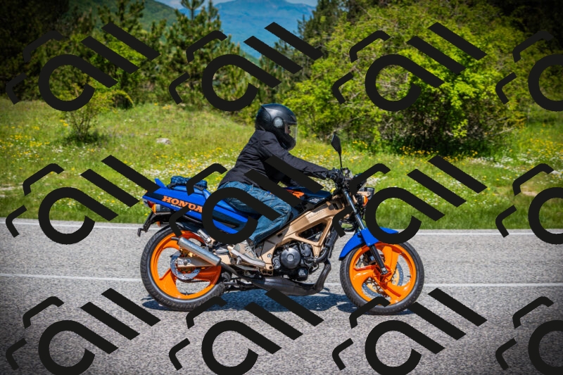 202505251159-DSC08937_c1_