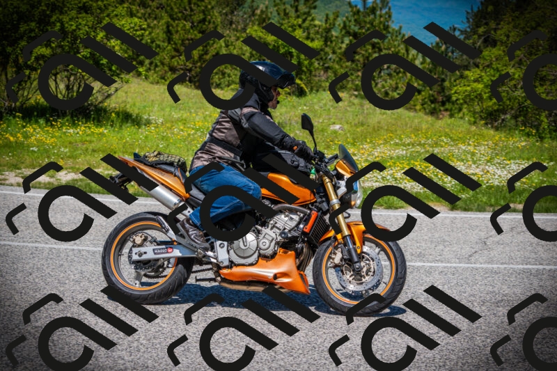 202505251159-DSC08938_c1_