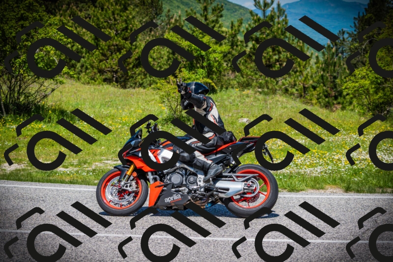 202505251159-DSC08945_c1_