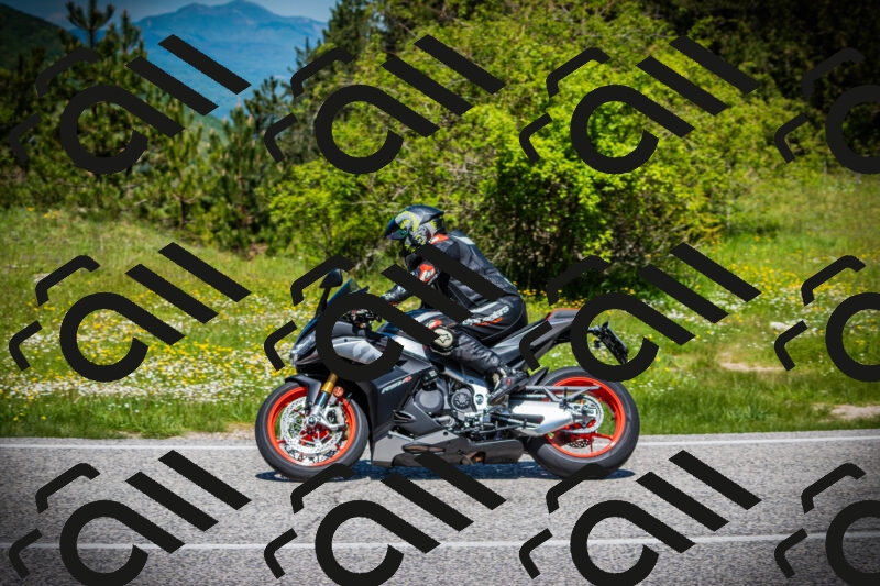 202505251159-DSC08950_c1_