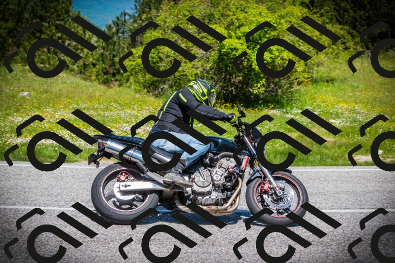 202505251159-DSC08956_c1_