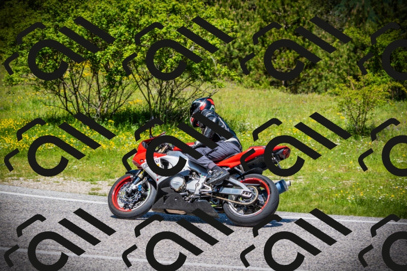 202505251200-DSC08967_c1_