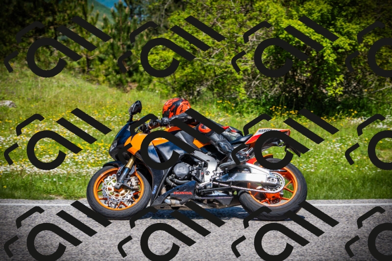 202505251200-DSC08971_c1_