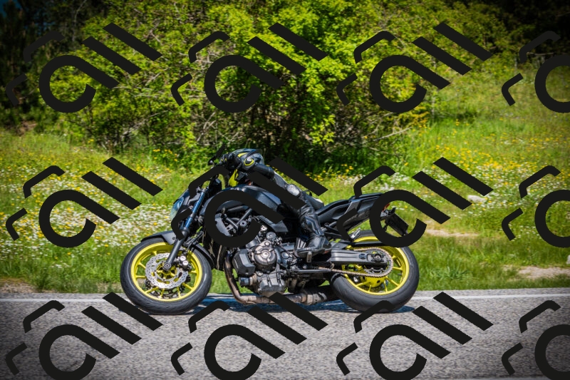 202505251200-DSC08973_c1_