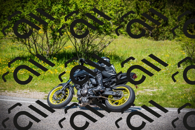 202505251200-DSC08974_c1_