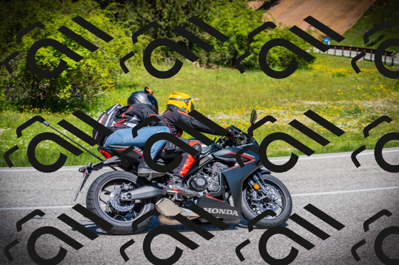 202505251200-DSC08979_c1_