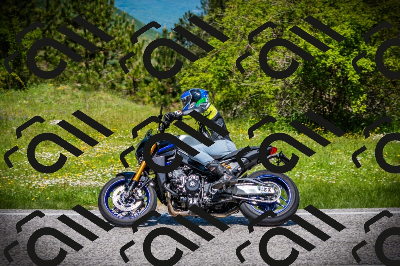 202505251201-DSC09004_c1_