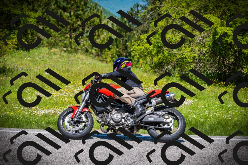 202505251201-DSC09005_c1_