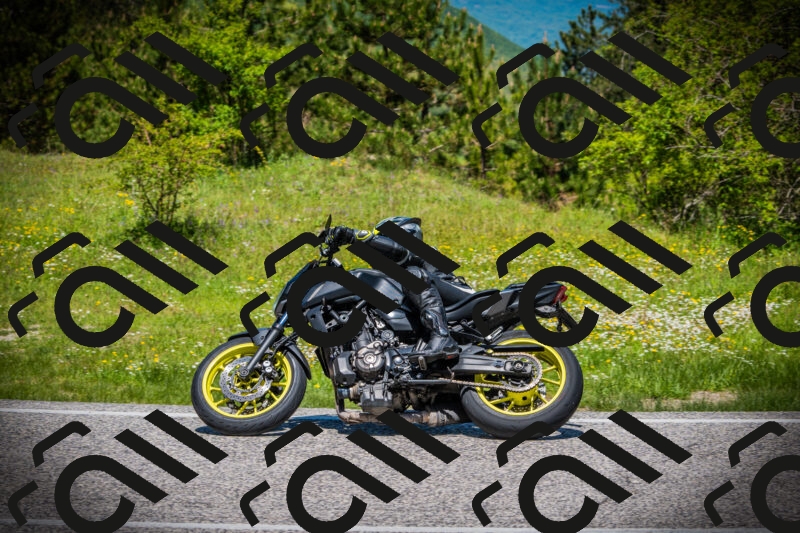 202505251203-DSC09035_c1_