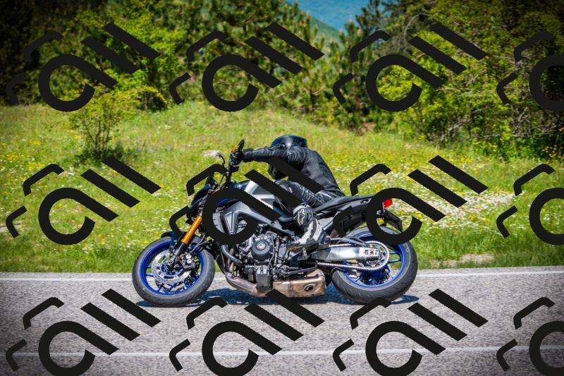 202505251206-DSC09066_c1_