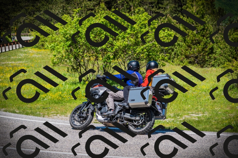 202505251207-DSC09093_c1_