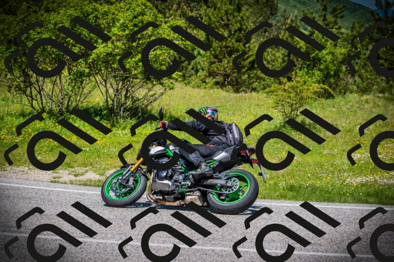 202505251207-DSC09098_c1_