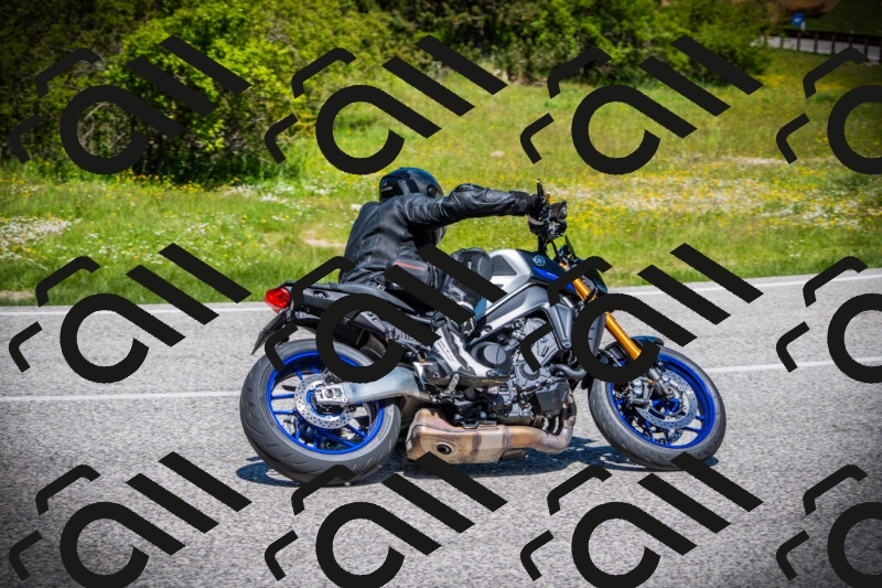 202505251208-DSC09107_c1_