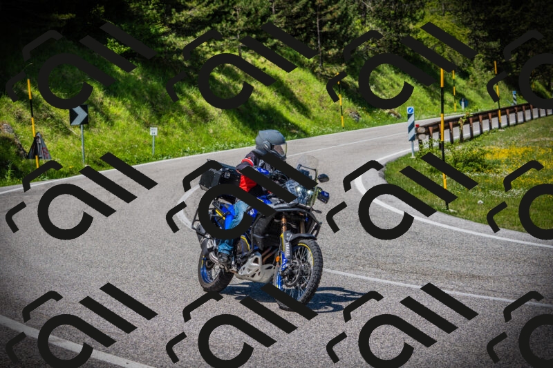 202505251209-DSC09123_c1_